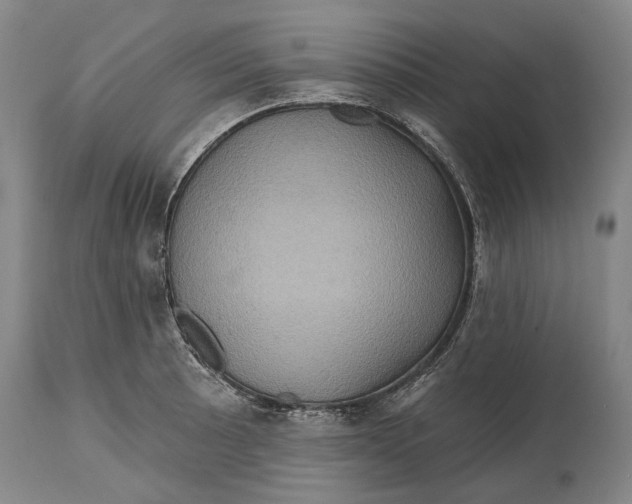 X0000114651089200911101315