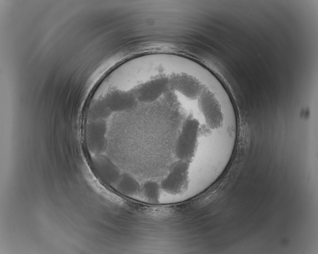 X0000114651090200911101315