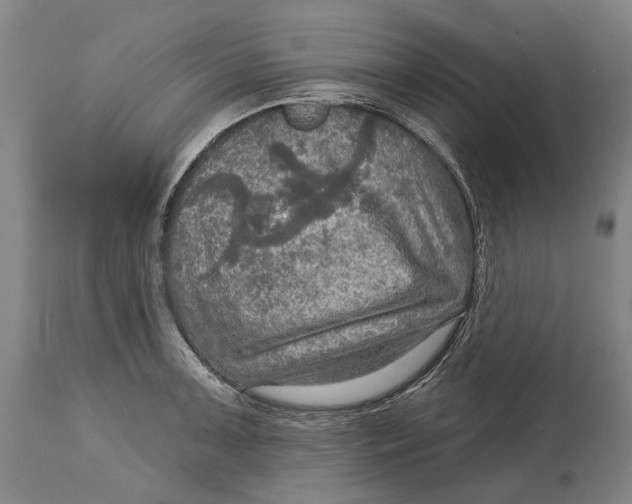 X0000114651091200911101315