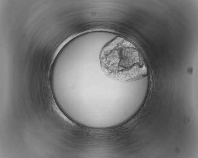 X0000114651092200911101315