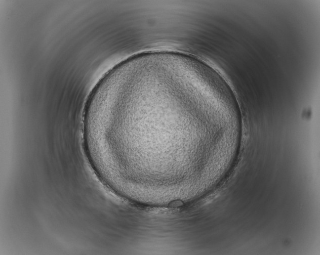 X0000114651093200911101315