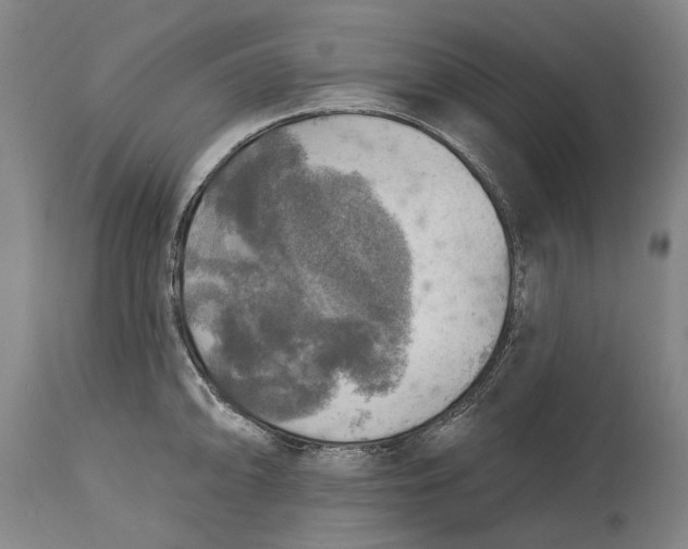 X0000114651094200911101315