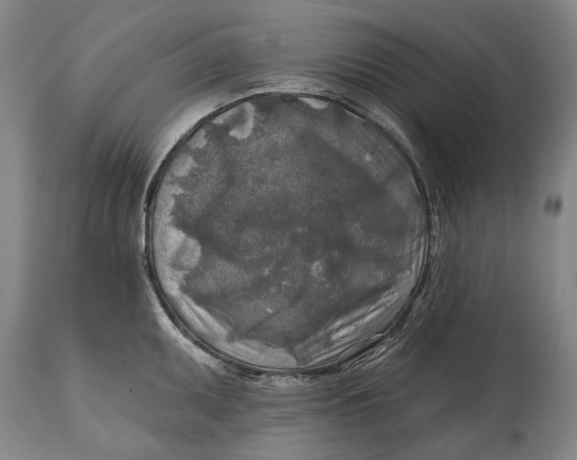 X0000114651095200911101315