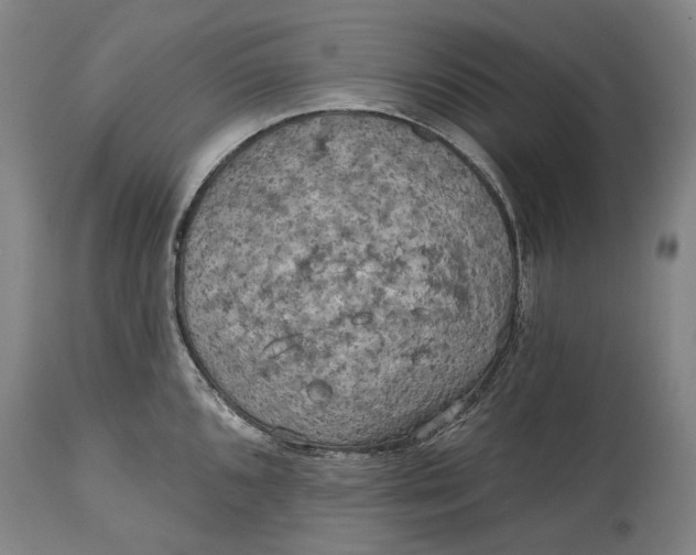 X0000114651096200911101315