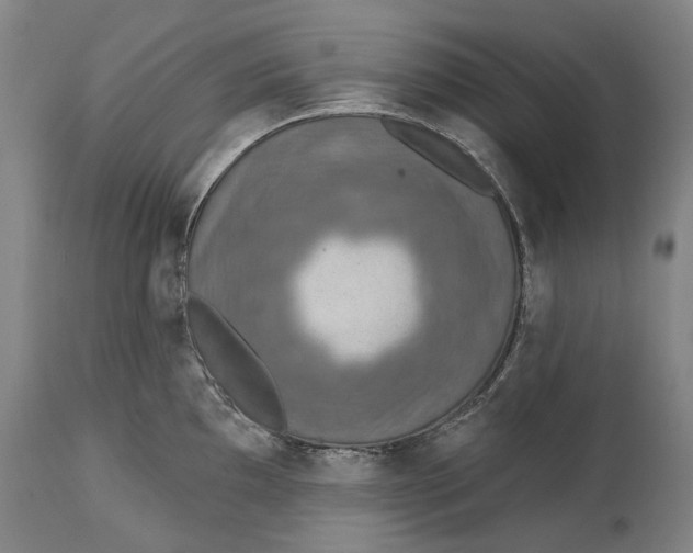 X0000114651097200911101315