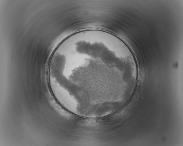 X0000114651098200911101315