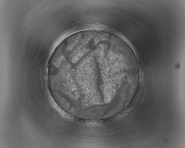 X0000114651099200911101315