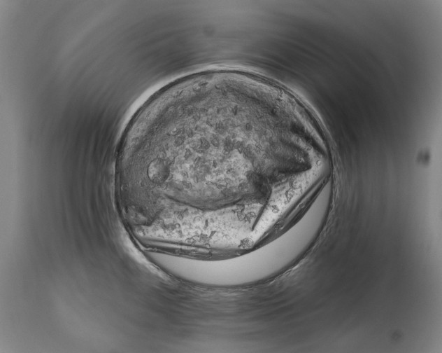 X0000114651100200911101315