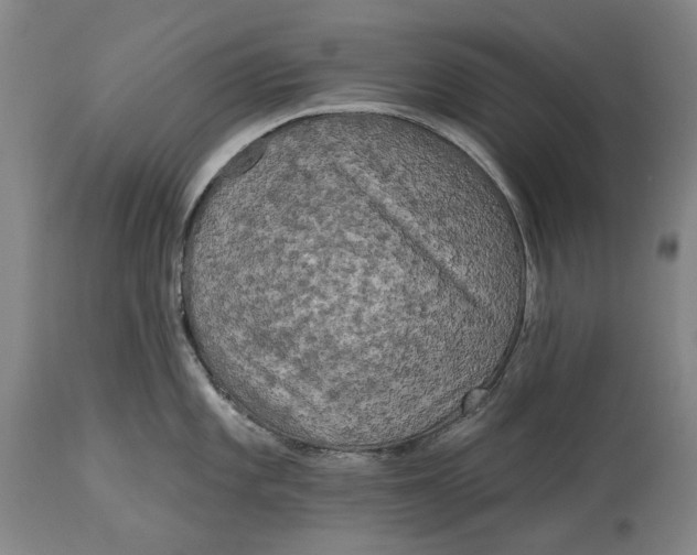 X0000114651101200911101315