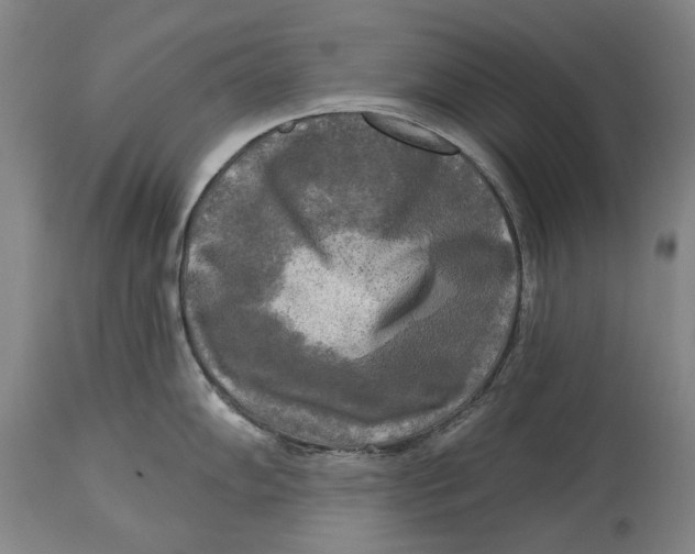 X0000114651102200911101315