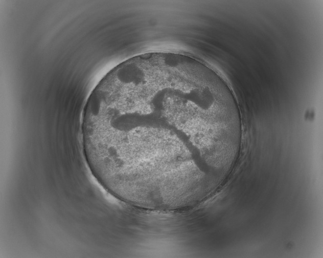 X0000114651103200911101315