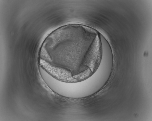 X0000114651104200911101315