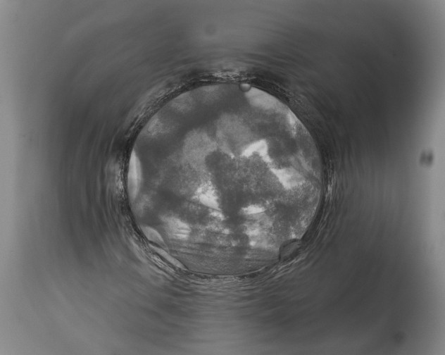 X0000114651106200911101314