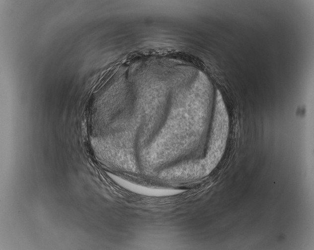 X0000114651109200911101314