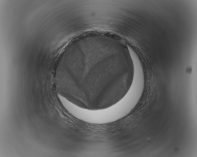 X0000114651110200911101314