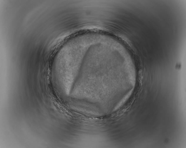 X0000114651111200911101314