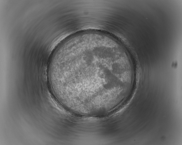 X0000114651113200911101315