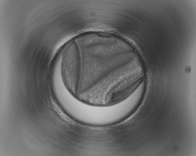 X0000114651114200911101315