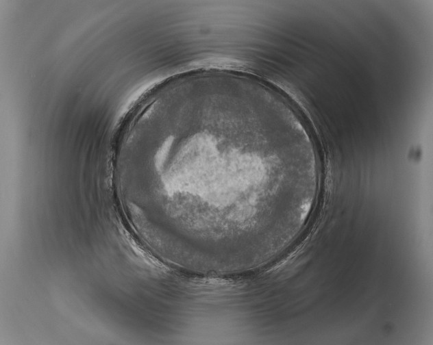 X0000114651115200911101315