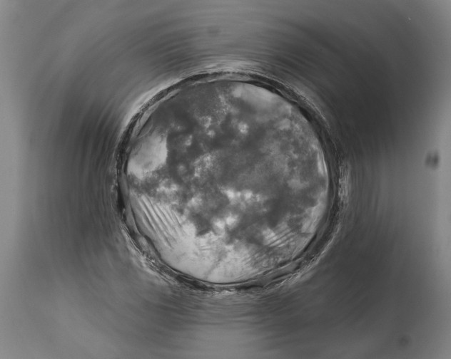 X0000114651117200911101315