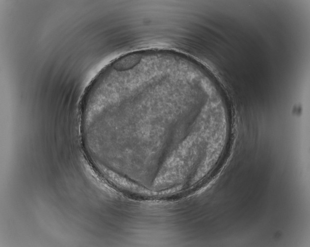 X0000114651118200911101315