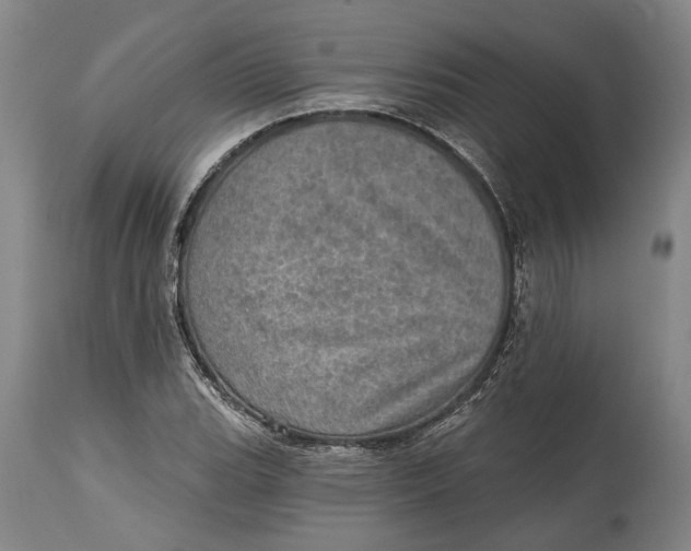 X0000114651119200911101315