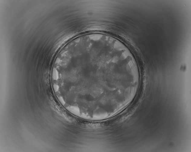 X0000114651121200911101315