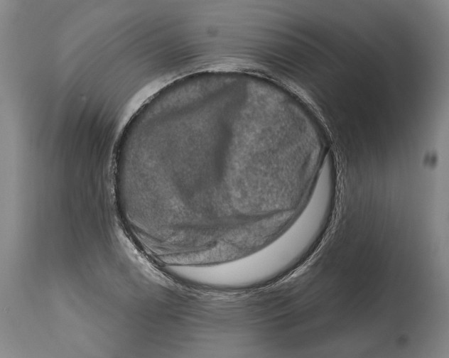 X0000114651122200911101315