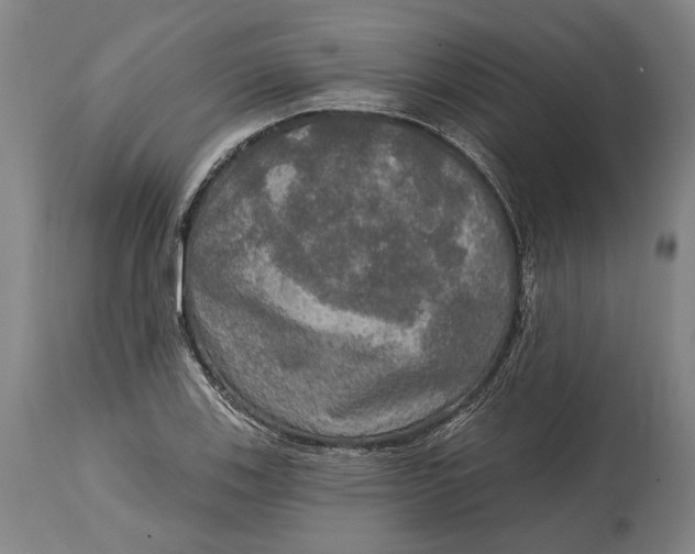 X0000114651123200911101315