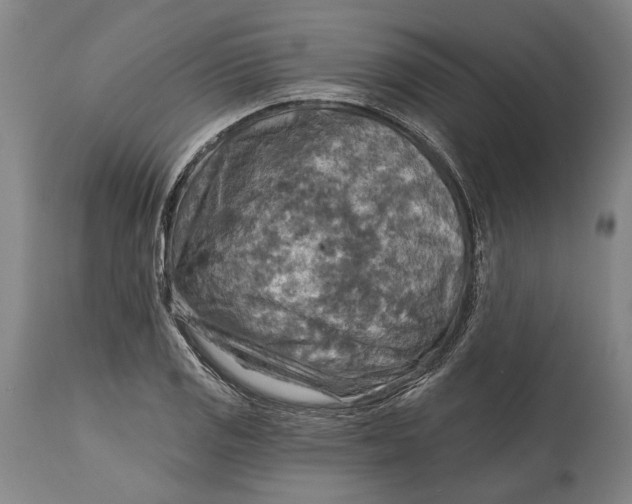 X0000114651125200911101315