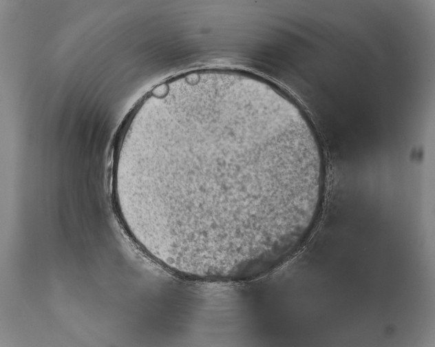 X0000114651126200911101315