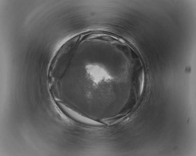 X0000114651127200911101315