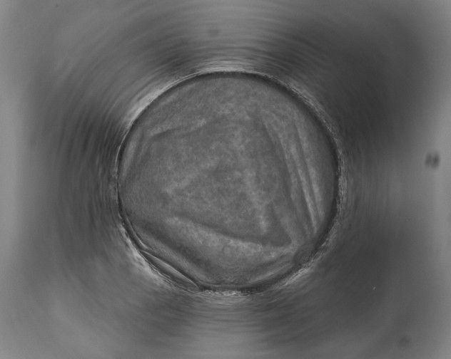 X0000114651129200911101315