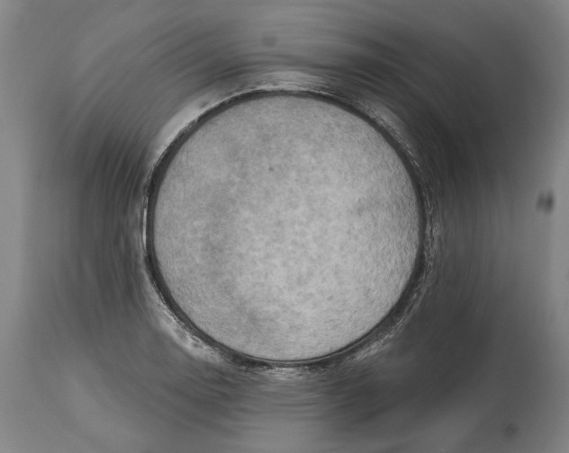 X0000114651130200911101315