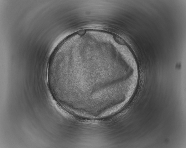 X0000114651131200911101315