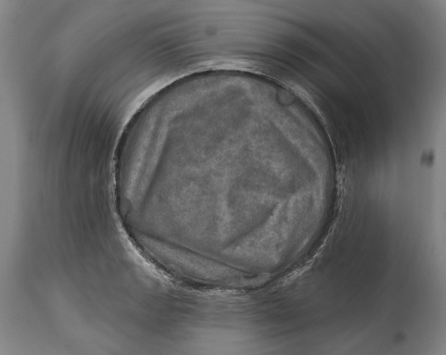 X0000114651133200911101315