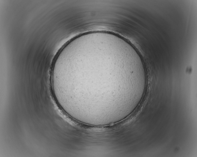 X0000114651134200911101315