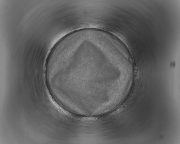 X0000114651135200911101315