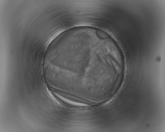 X0000114651137200911101315