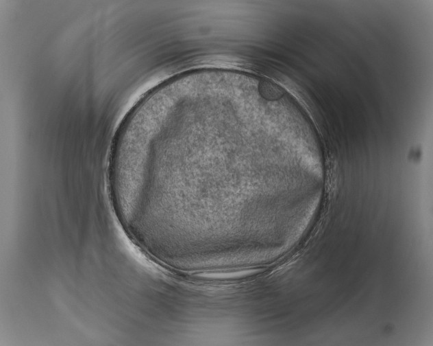 X0000114651139200911101315