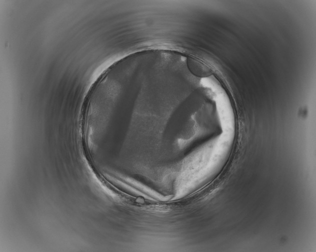 X0000114651141200911101315