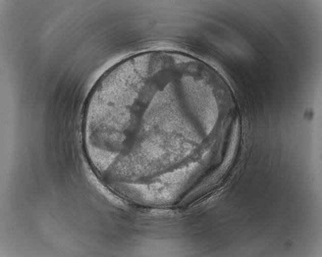 X0000114651142200911101315