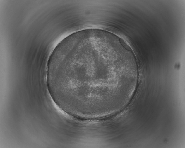 X0000114651143200911101315