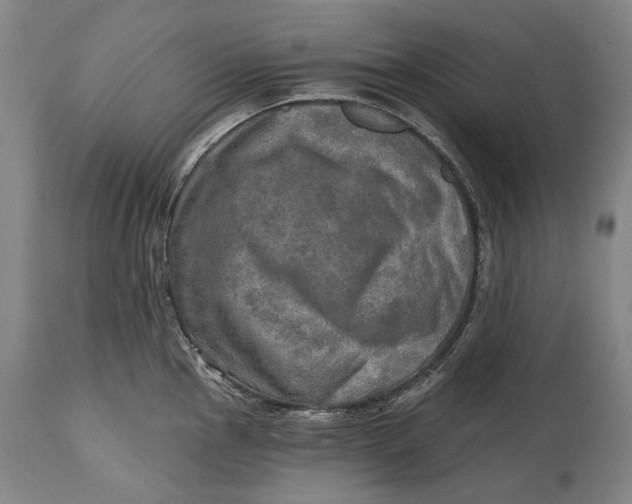 X0000114651145200911101315