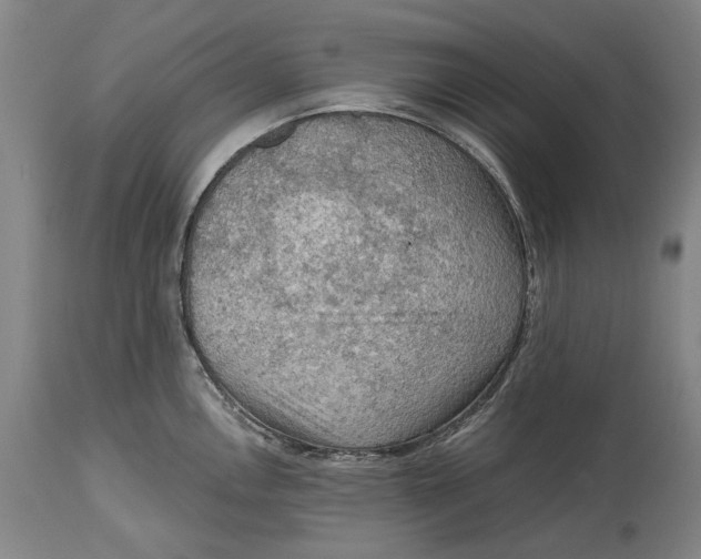 X0000114651146200911101315