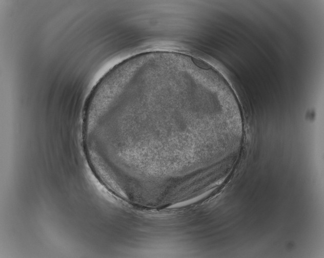 X0000114651147200911101315