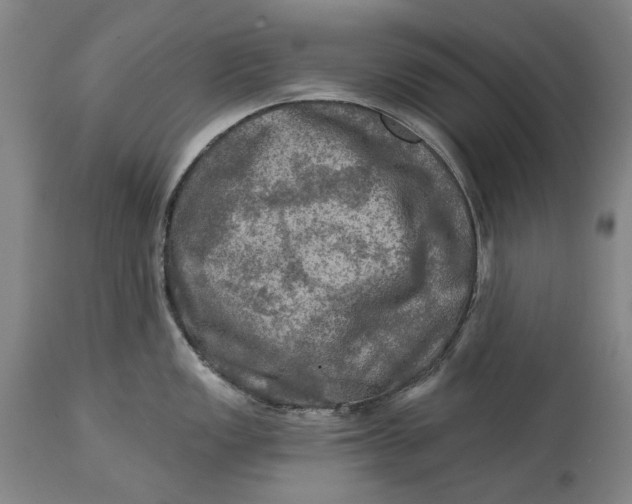 X0000114651149200911101315