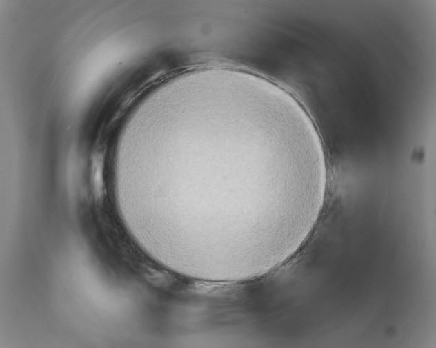 X0000114651150200911101315