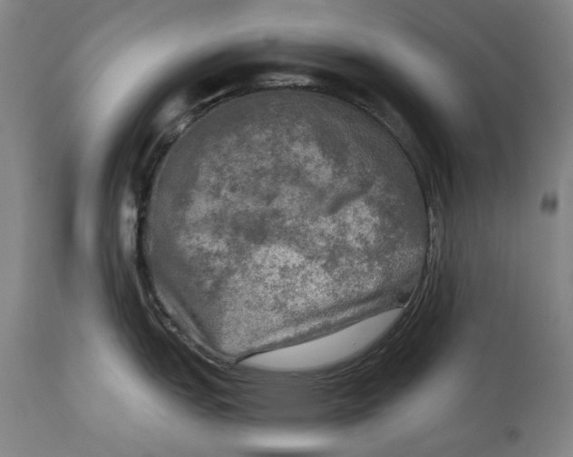 X0000114651151200911101315