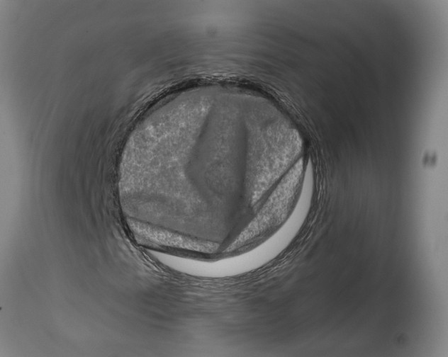 X0000114651153200911101314